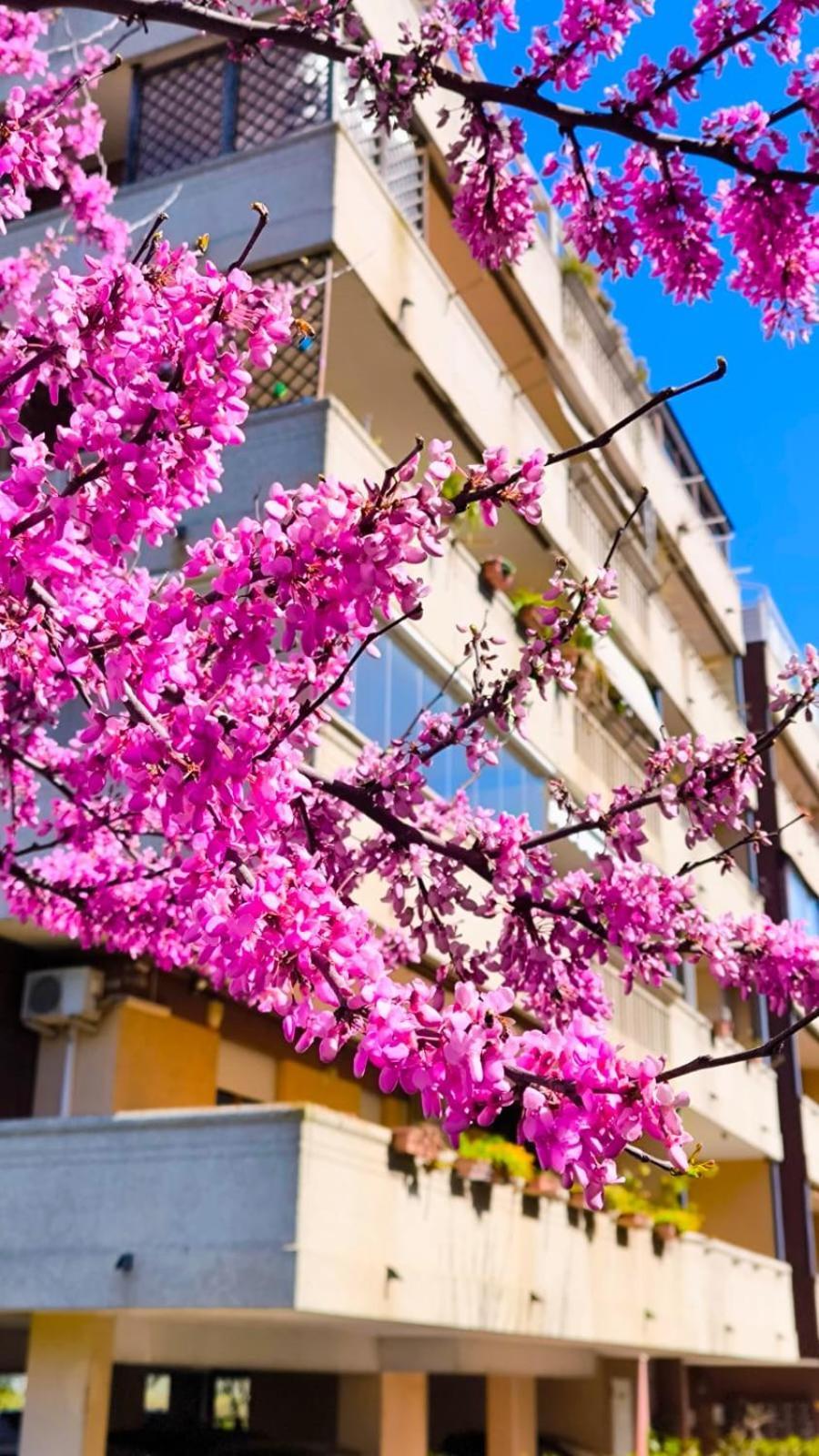 Rome Sweet Home Vitinia Esterno foto