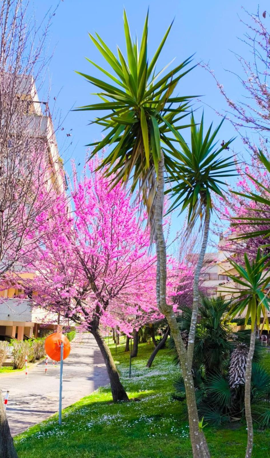 Rome Sweet Home Vitinia Esterno foto